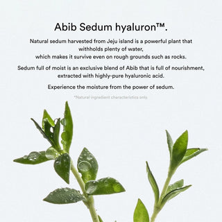 Abib Collagen Gel Mask Sedum Jelly - Odos drėgmę atkurianti veido kaukė