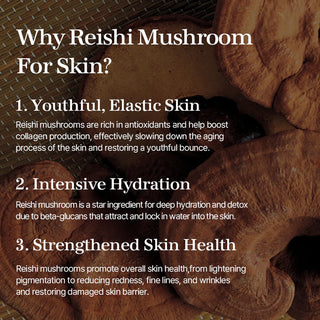 MIXSOON Reishi Mushroom Essence - Mažinantis uždegimo požymius serumas su Reishi 100ml
