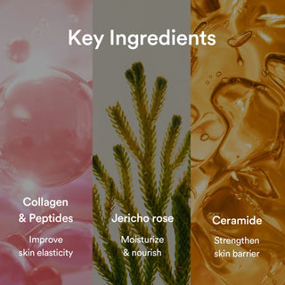Abib Collagen Gel Mask Jericho Rose Jelly - Odos elastingumą skatinanti veido kaukė